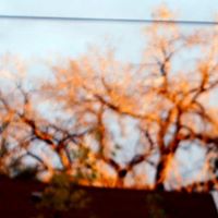 Brenda Kerns Photo 12