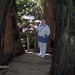 Cheryl Wood Photo 26