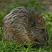 Jerry Thornton Photo 10