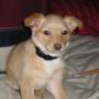 Melissa Unger Photo 23