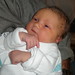 Allison Emery Photo 17