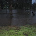 Ramona Rains Photo 7