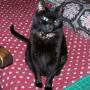 Pamela Sizemore Photo 15