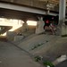 Max Davis Photo 21