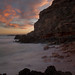 Ned Newton Photo 5