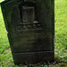 Nancy Norton Photo 33