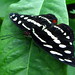 Janice Summers Photo 32