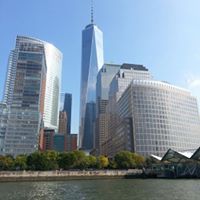 Anthony Curcio Photo 20