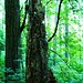 Eugene Stump Photo 11