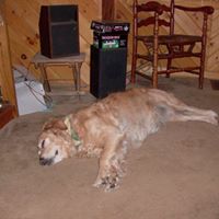 Cindy Herbert Photo 20