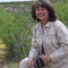 Lindy Cook Photo 12