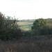 Betty Franks Photo 18