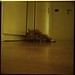 Barbara Zecca Photo 6