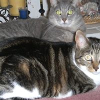 Judy Stanfield Photo 23