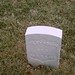 Adam Wiley Photo 25