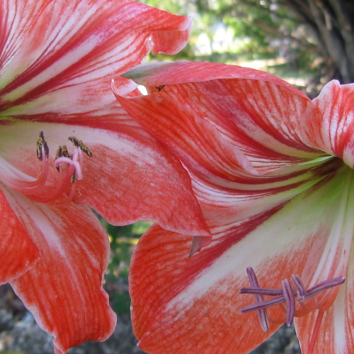 Ann Withers Photo 29