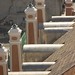 John Florio Photo 9