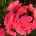 April Bright Photo 38