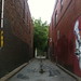 Annette Alley Photo 11