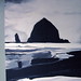 Steven Cole Photo 22