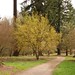 Cheryl Hoyt Photo 18