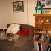 Janet Overton Photo 24