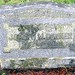 Dorothy Conner Photo 20