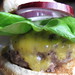 Roberta Burger Photo 7