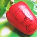 Alexander Bell Photo 46