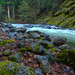 Steven Carrillo Photo 23