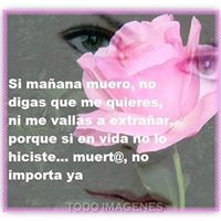 Virginia Andrade Photo 33