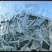 Jack Frost Photo 14
