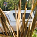 Ralph Plant Photo 6