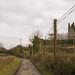 Eleanor Hurley Photo 8