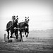 Donald Erickson Photo 19