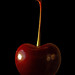 Cheri Long Photo 9