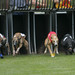 Butch Gee Photo 5