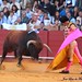 Antonio Rosales Photo 41