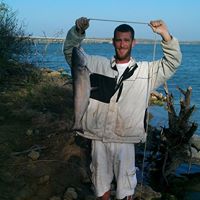 Paul Loyd Photo 2