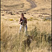 Debbie Wilder Photo 21