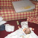 Gretchen Andrews Photo 17