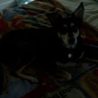 Karen Clift Photo 7