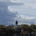 Dean Conner Photo 17