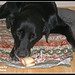Julie Bone Photo 10