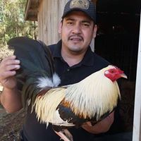 Neftali Rodriguez Photo 11