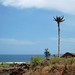 Jose Ledo Photo 9
