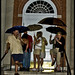 Nancy Glynn Photo 17