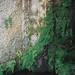 Grace Tuttle Photo 19