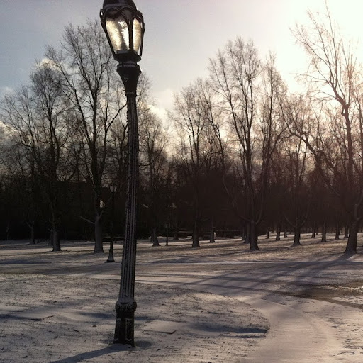 Kathleen York Photo 26