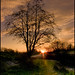 Jason Boles Photo 20